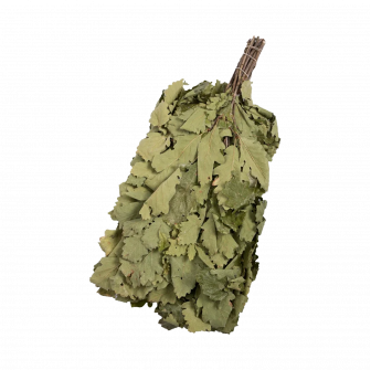 Ąžuolo vanta
