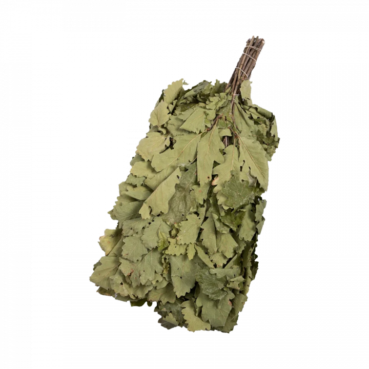 Ąžuolo vanta