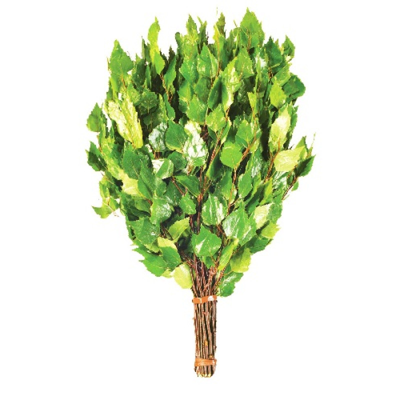 Beržo vanta su žolelėmis