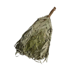 Eukalipto vanta 