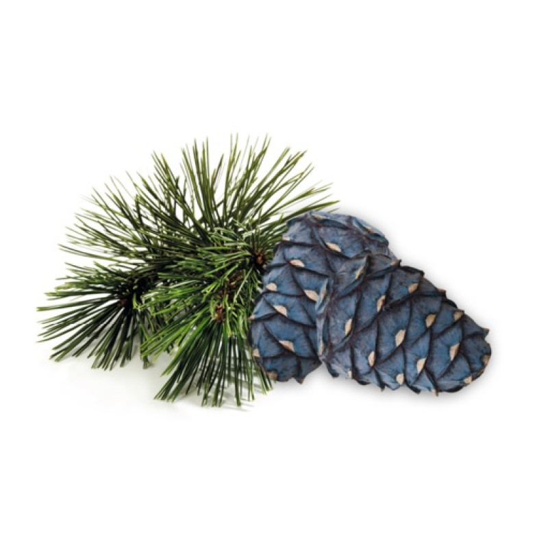 HARVIA saunos kvapų koncentratas, arola pušų 1 l