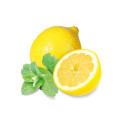 HARVIA saunos kvapų koncentratas, mėtų ir citrinų 100 ml - 0 HARVIA saunos kvapų koncentratas, mėtų ir citrinų 100 ml - 0