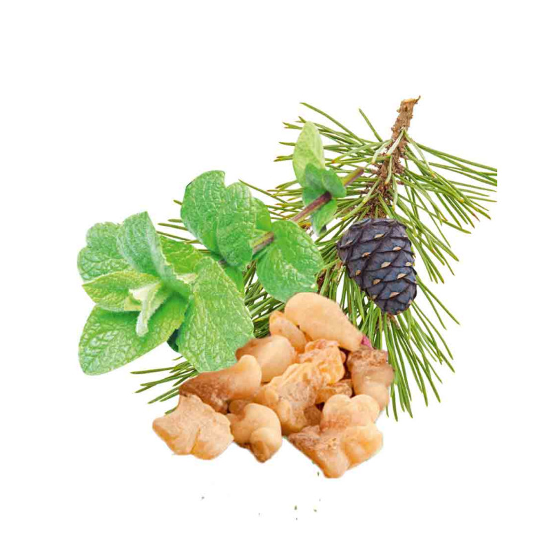 HARVIA saunos kvapų koncentratas, pipirmėčių, pušų, smilkalų ir miros 1 l