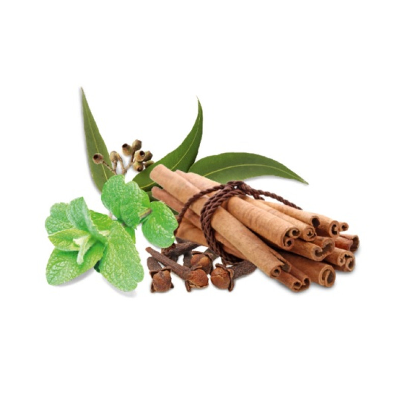 HARVIA saunos kvapų koncentratas, prieskonių ir mėtų 1 l