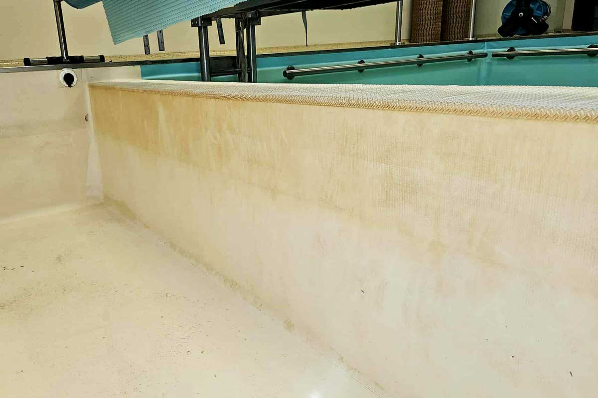 Dirt and deposits visible on the outer walls of the rectangular pool