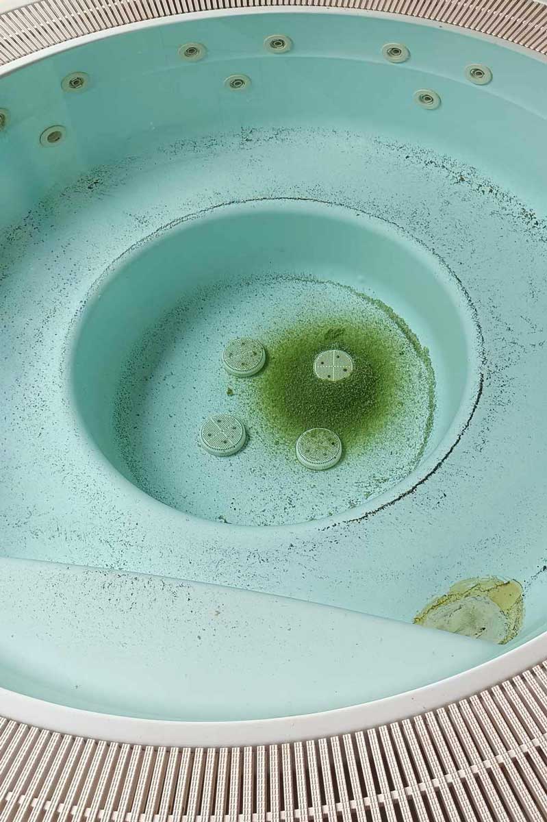 Pool dirt caused by neglect, which is difficult to clean but possible