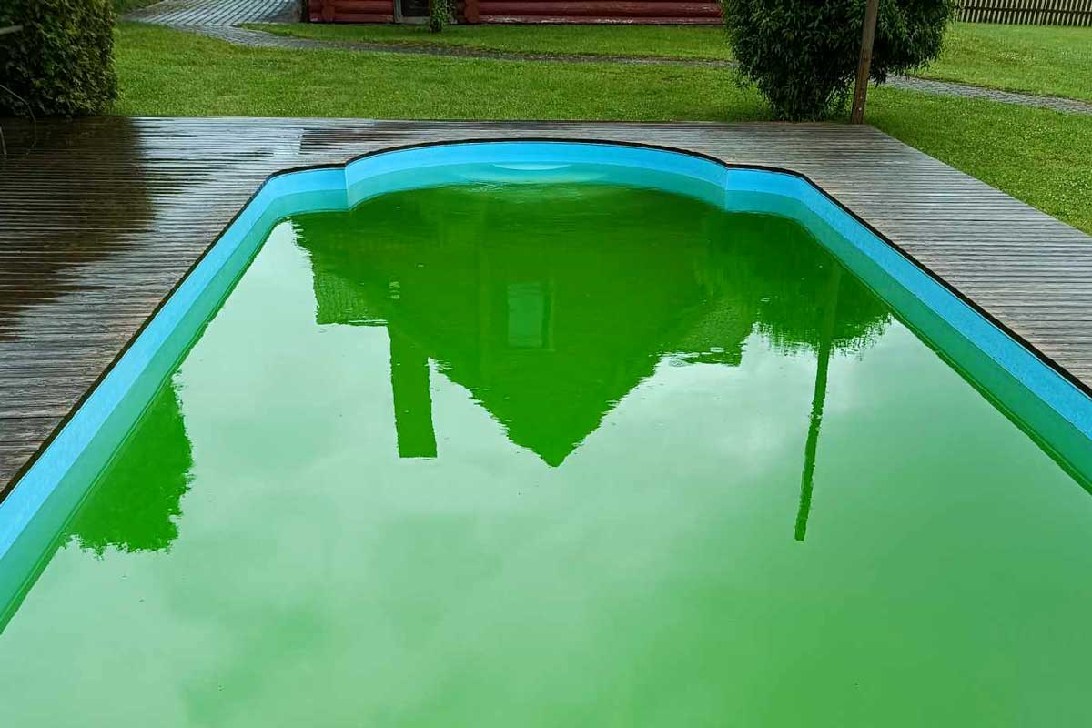Outdoor swimming pool with bright green, overgrown water, showing an unkempt and overgrown water surface