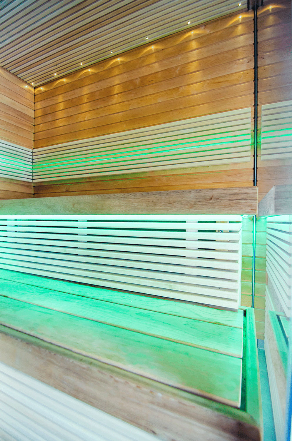Sauna - garinė pirtis