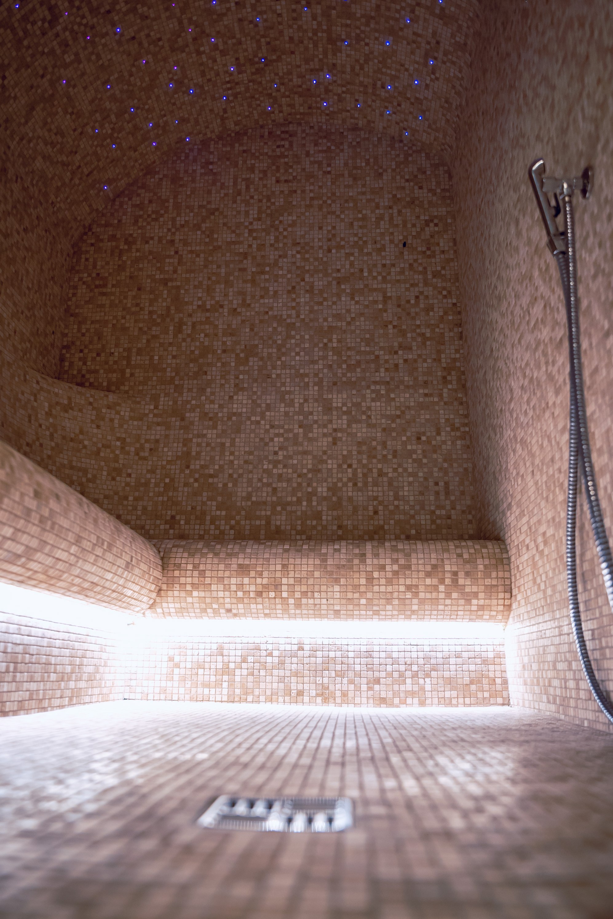 SPA centras viešbutyje "PALANGOS VĖTRA"