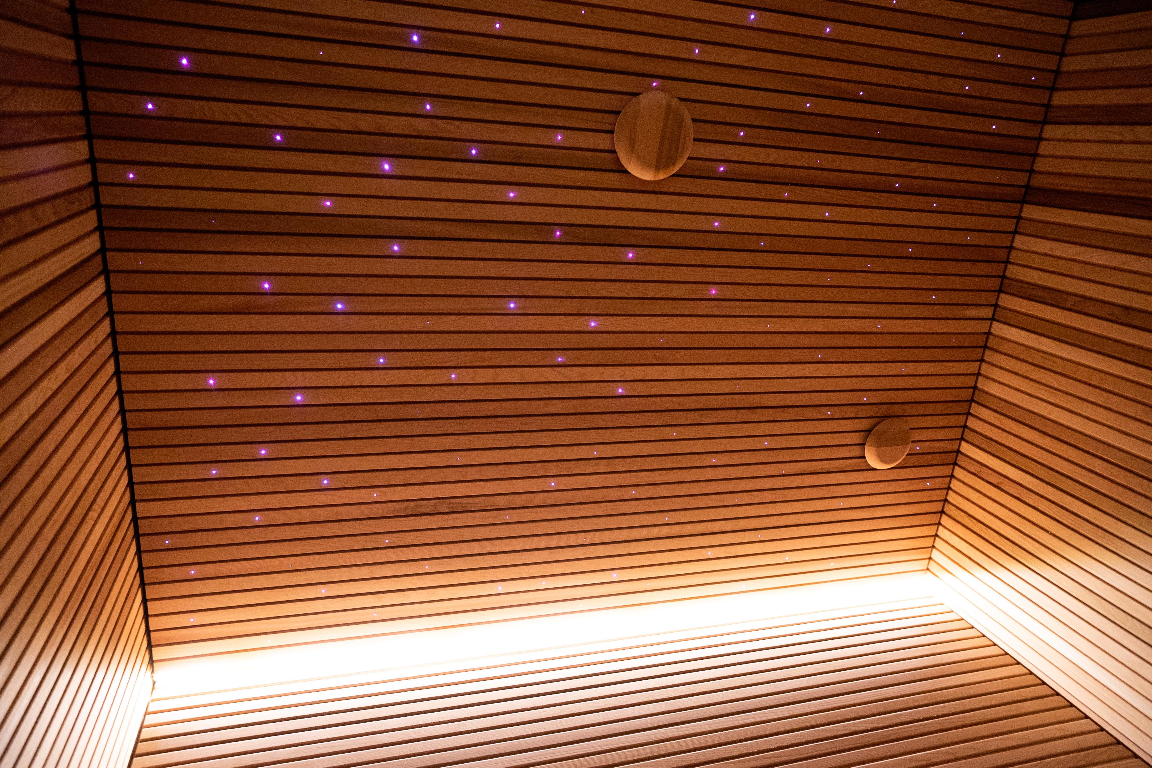 Individualus SPA projektas pajūryje
