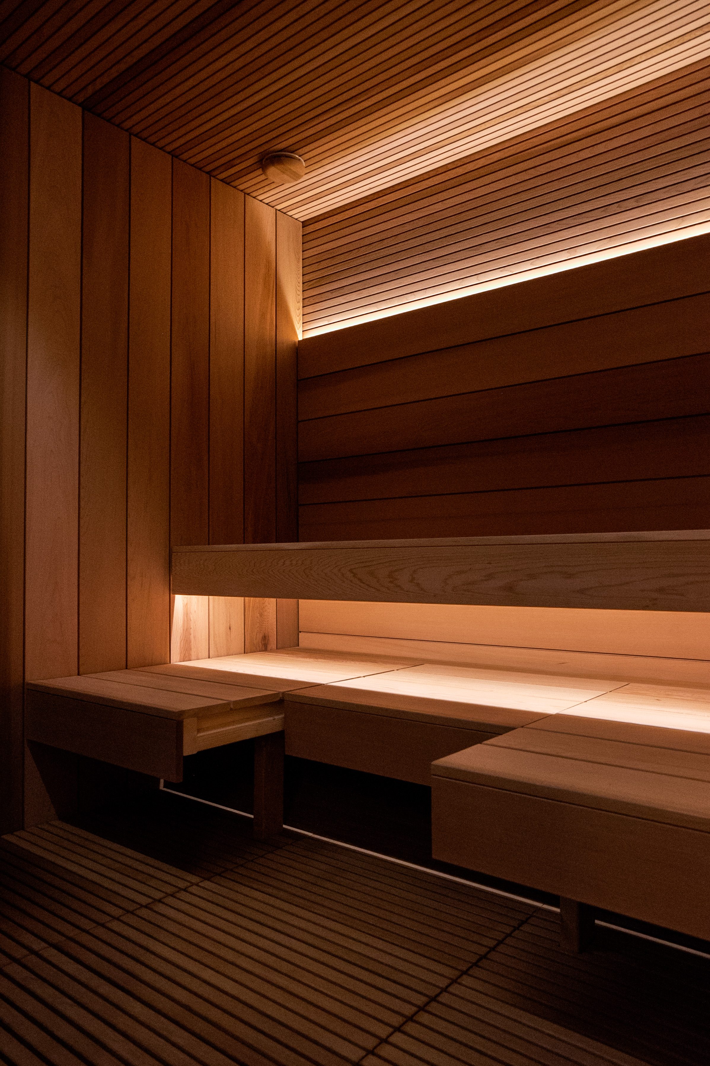 Individualus SPA projektas pajūryje