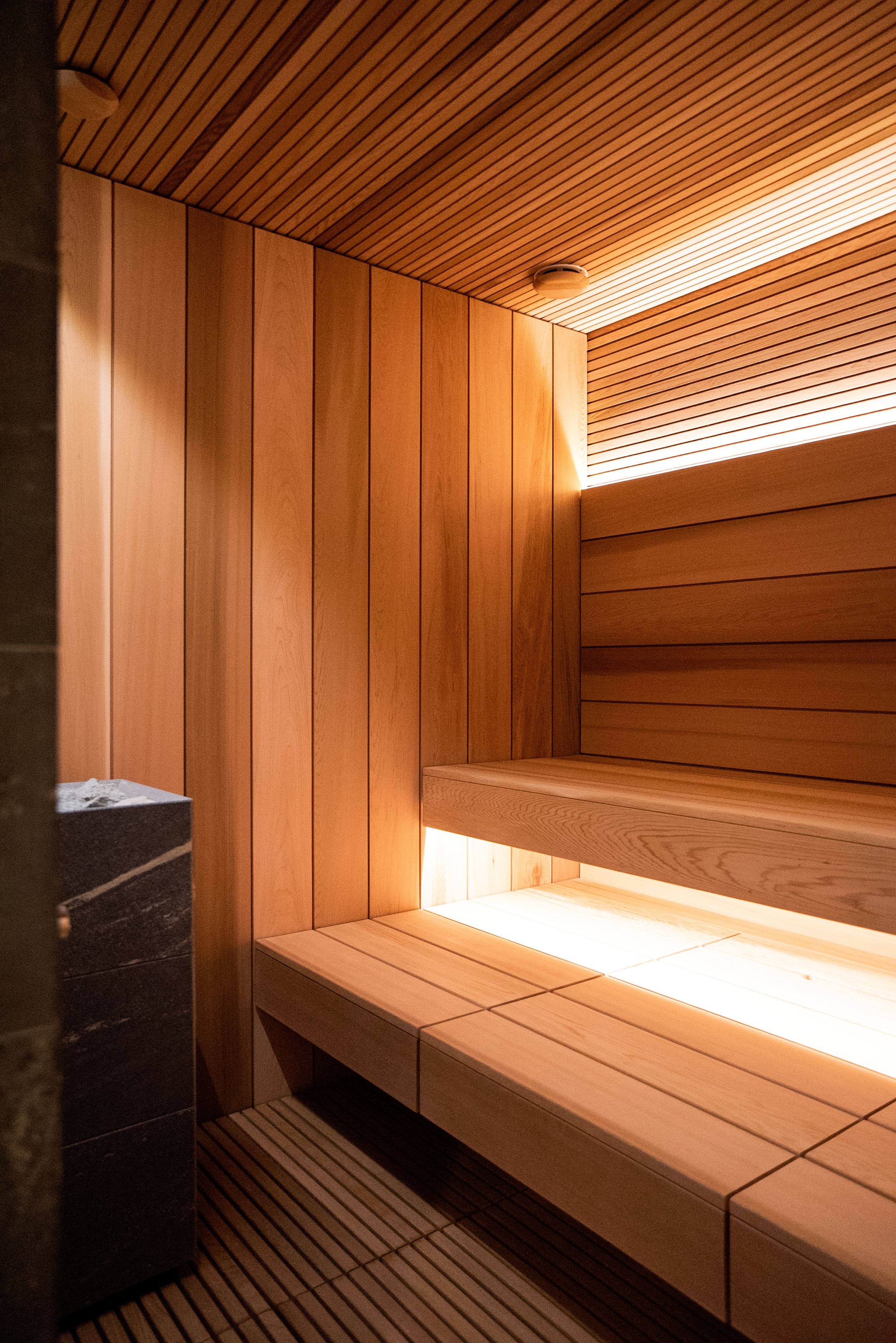 Individualus SPA projektas pajūryje