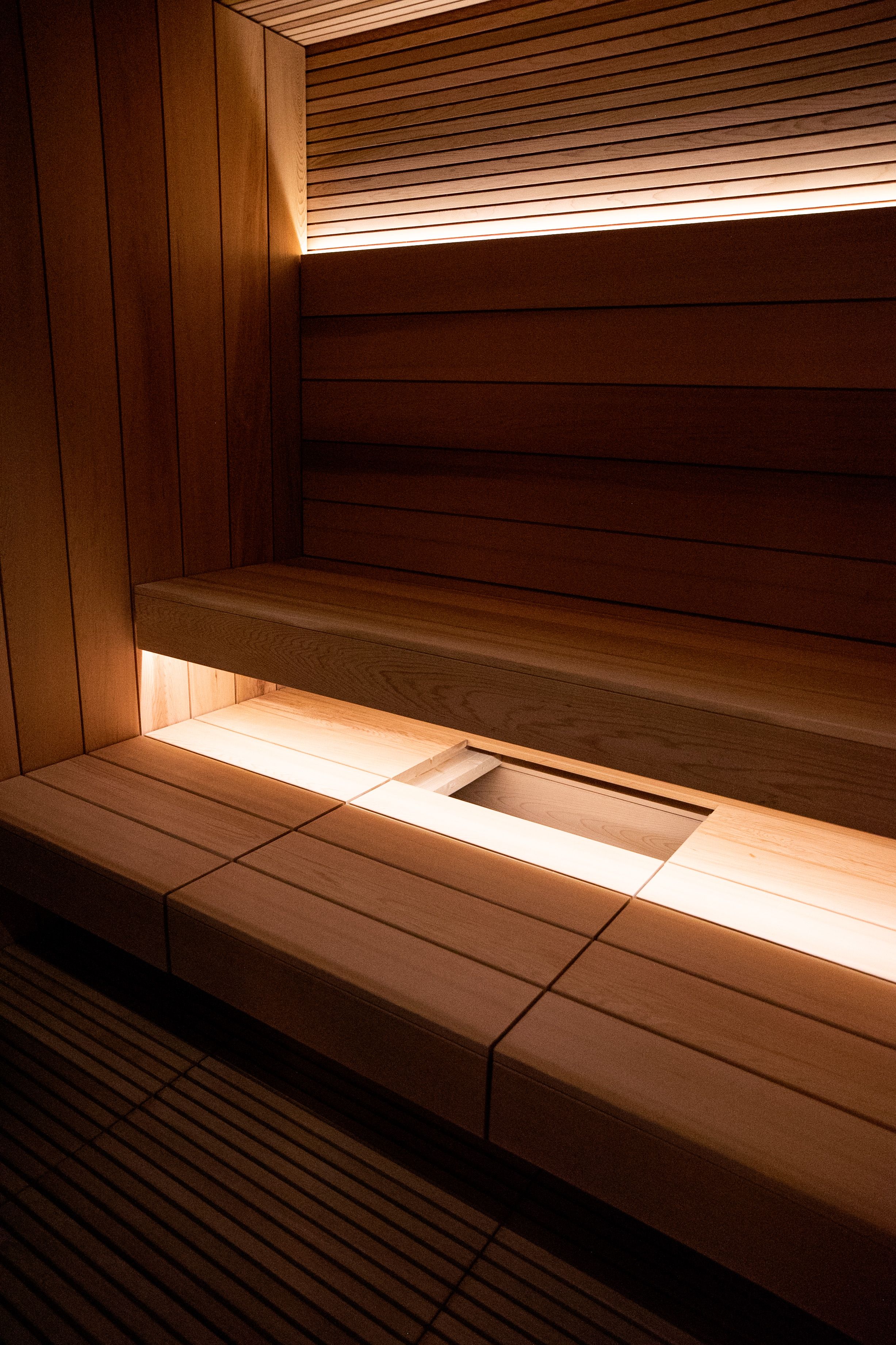 Individualus SPA projektas pajūryje