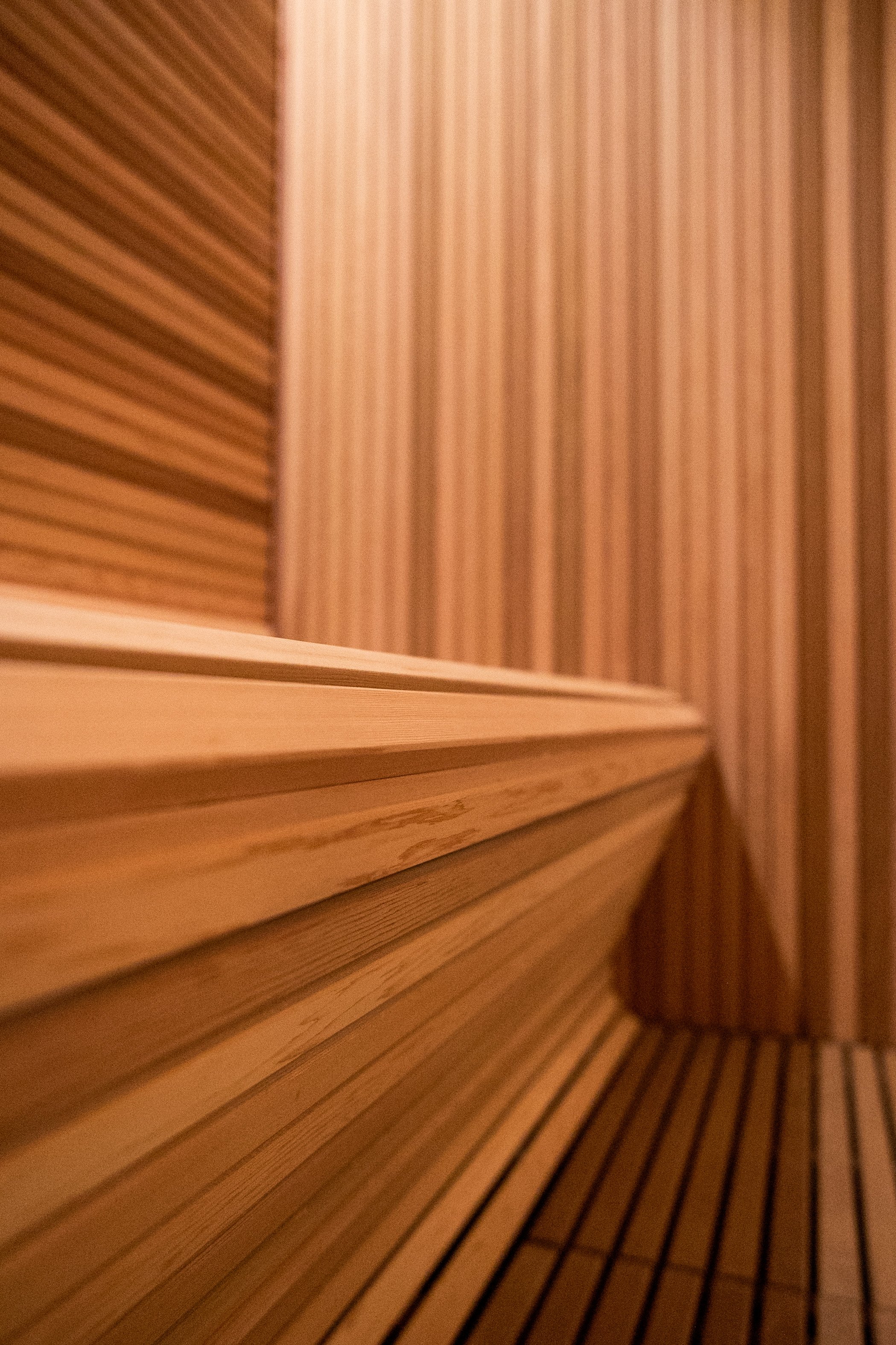 Individualus SPA projektas pajūryje